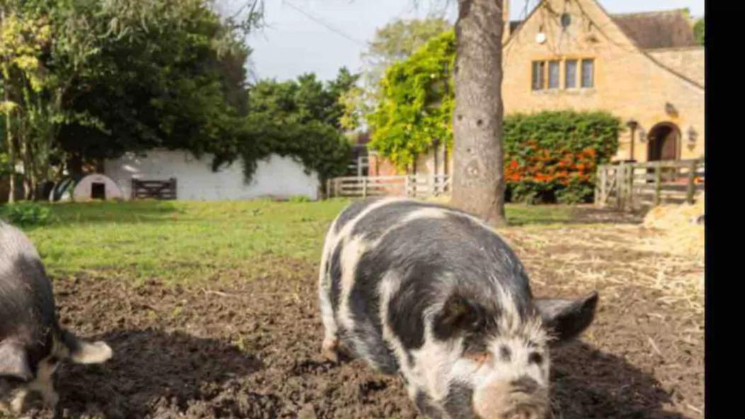 Piglet Cottage Pebworth Exterior foto